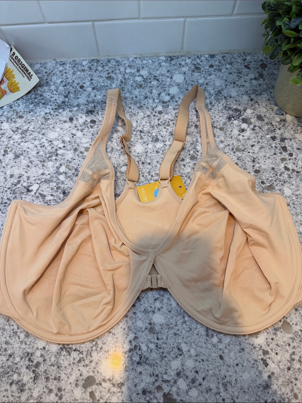 Delimira Lace-Trim Full Coverage front closure razor back size 42F beige